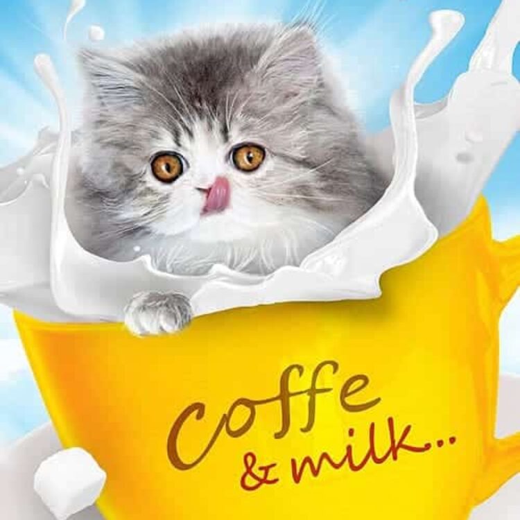 Persona Corporate Identity